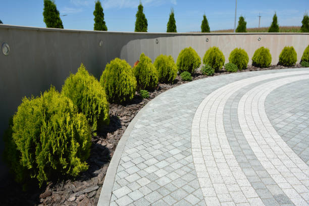 Best Concrete Paver Driveway  in Placentia, CA